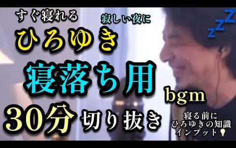 30分で寝落ち用ひろゆき【ひろゆき切り抜き】