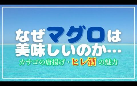 マグロが美味しい理由を２分で解説‼︎ヒレ酒は海外では珍しい⁉︎ 【ひろゆき切り抜き】