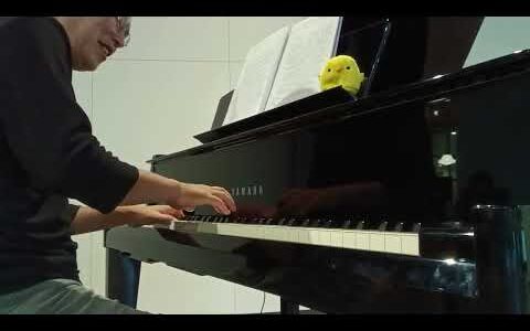 【お金の存在しない世界/所有の概念】スナフキンのテーマ/Snufkin/遠いあこがれ/ムーミン/Moomin『GREEN SPRINGS/グリーン・スプリングス』ストリート・ピアノ/2024年9月3