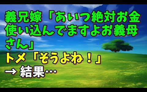 【スカッとひろゆき】義兄嫁「あいつ絶対お金使い込んでますよお義母さん」 トメ「そうよね！」 → 結果…