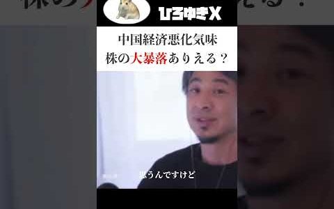 【中国経済悪化】株の大暴落がくる！？【ひろゆき切り抜き】#ひろゆき切り抜き #ビジネス    #ひろゆき #政治 #お金 #お金  #国民民主党 #石丸伸二 #ハムスター #論破