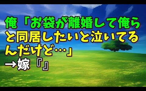 【スカッとひろゆき】俺「お袋が離婚して俺らと同居したいと泣いてるんだけど…」→嫁『』