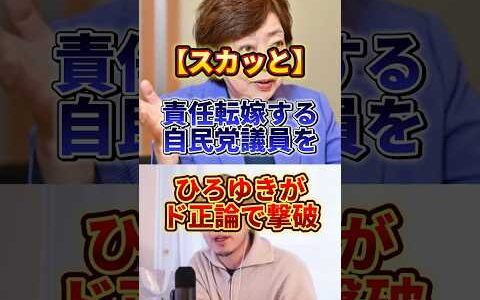 これは流石に責任転嫁しすぎやろ#ひろゆき #政治 #自民党