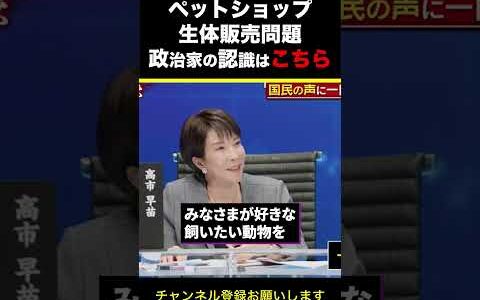 【ひろゆき】ペットショップ生体販売問題 政治家の認識はこちら #shorts