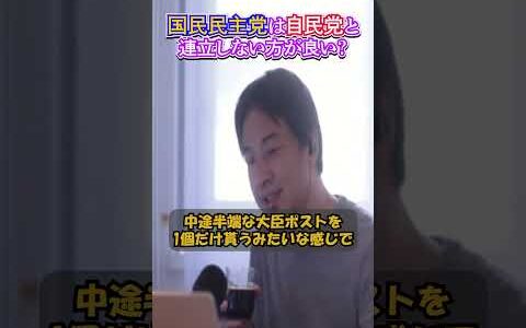 (玉木首相)国民民主党が連立を組むべきかひろゆきに聞いてみた #ひろゆきのすゝめ #ひろゆき切り抜き #チン上げ