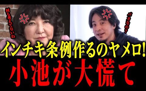 【片山＆ひろゆきvs小池百合子】※ふざけた小池の条例に片山とひろゆきが完全論破！！【佐藤沙織里 消費税 東京都議会本会議】